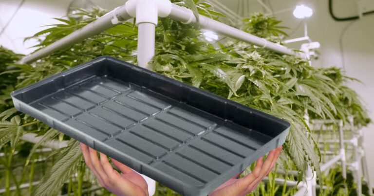2x4 Flood Tray for hydroponic growing