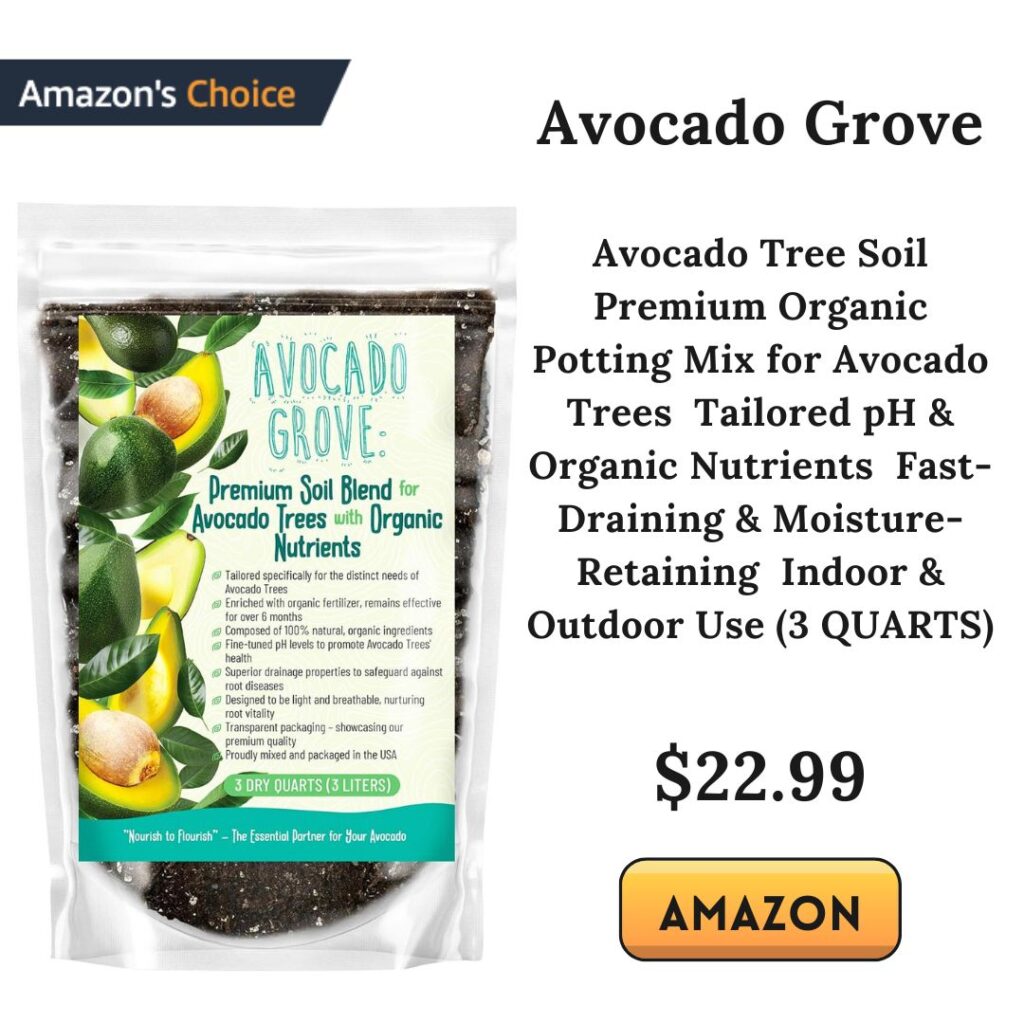 avocado potting soil
