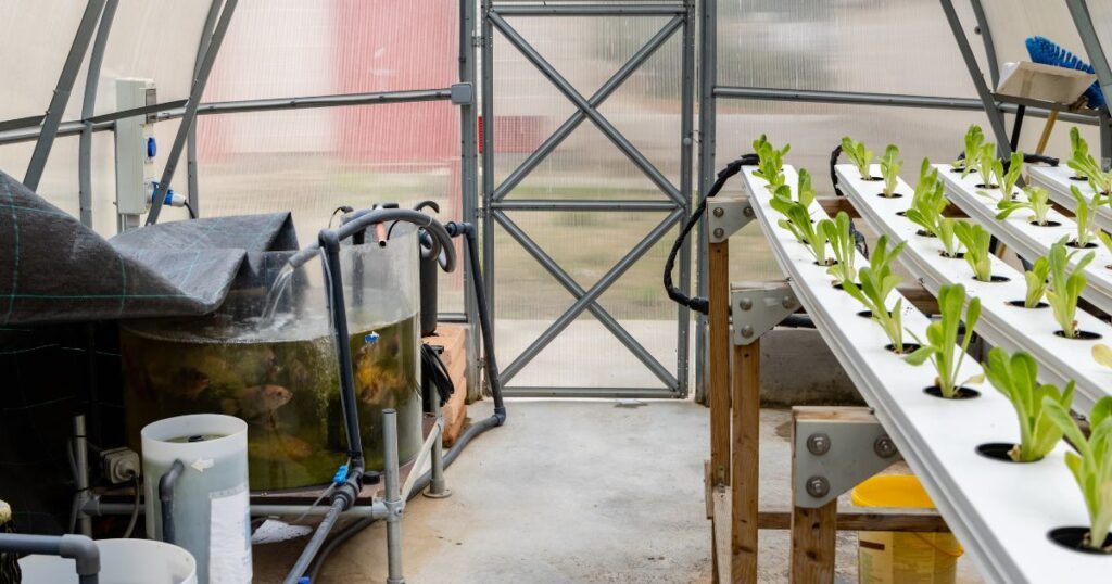 Hydroponic Fertilizer