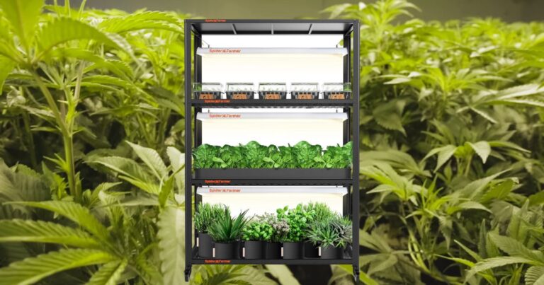 Hydroponic Racks