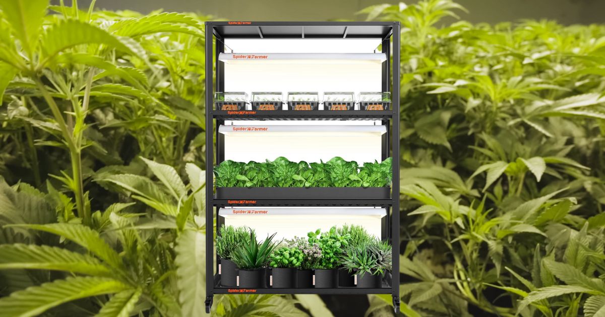 Best Hydroponic Racks For Indoor Hydro Grow Rack System - Nathan Heinrich